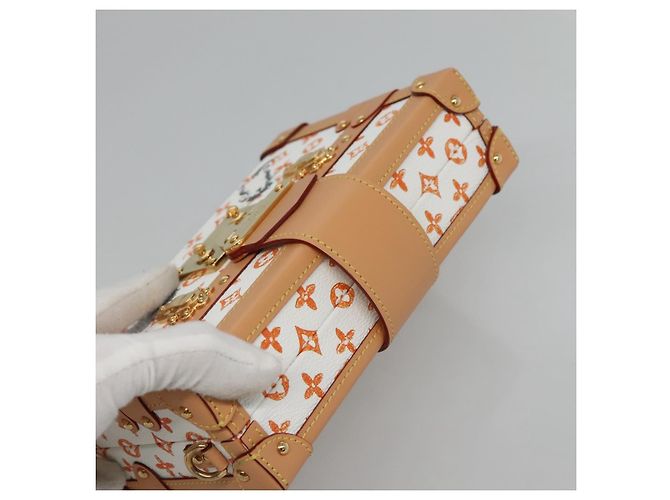 LOUIS VUITTON Catgram Petit Maru NM Borsa a Spalla Bianca LV Auth 110163SM Bianco - vista 5