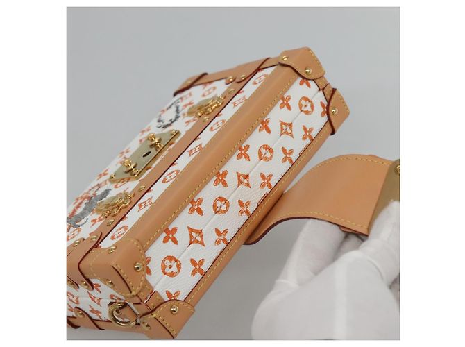 LOUIS VUITTON Catgram Petit Maru NM Borsa a Spalla Bianca LV Auth 110163SM Bianco - vista 6