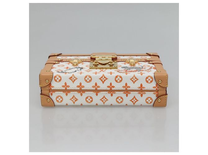 LOUIS VUITTON Catgram Petit Maru NM Borsa a Spalla Bianca LV Auth 110163SM Bianco - vista 7