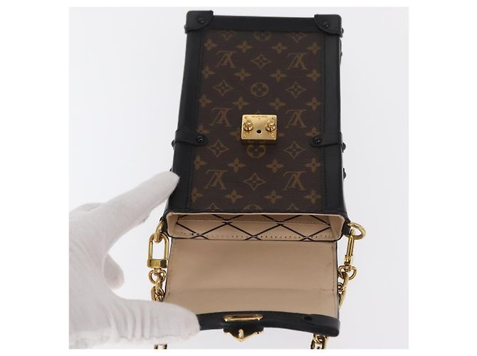 LOUIS VUITTON Pochette Trunk Vertical Monogram M63913 LV Auth 146560SAM Monogramma - vista 21