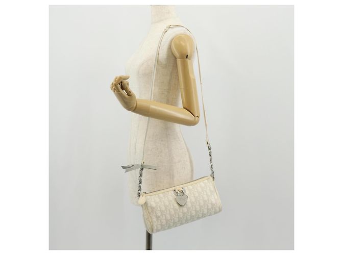 Borsa a Spalla Romantica Trotter Christian Dior PVC Bianco Argento Auth 155320V - vista 27