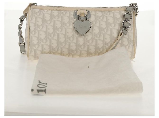 Borsa a Spalla Romantica Trotter Christian Dior PVC Bianco Argento Auth 155320V - vista 28