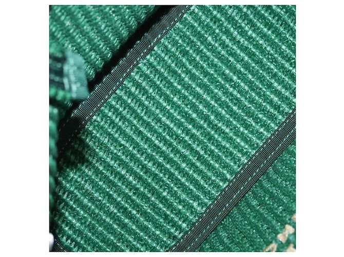 Borsa Jimmy Choo Raffia 2way Verde Oro Auth BA9200 D'oro - vista 18