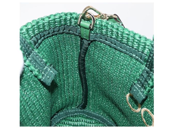 Borsa Jimmy Choo Raffia 2way Verde Oro Auth BA9200 D'oro - vista 19