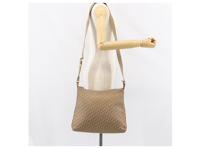 Borsa a Spalla in Tela Trotter Christian Dior Beige Argento Auth ep12239 - vista 22