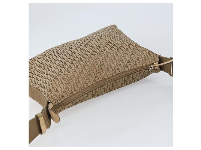 Borsa a Spalla in Tela Trotter Christian Dior Beige Argento Auth ep12239 - vista 6