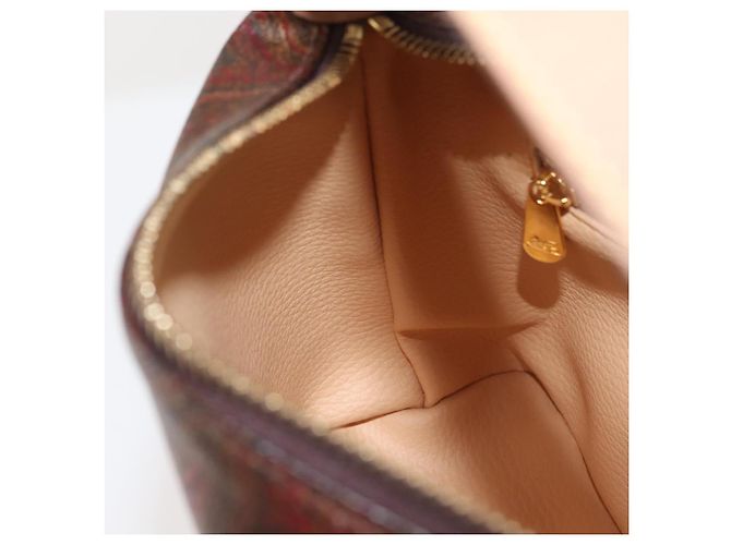 Borsa a mano ETRO in pelle PVC marrone e oro Auth am9050 D'oro - vista 20