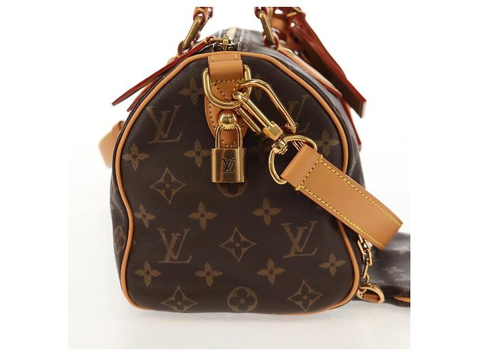 LOUIS VUITTON Borsa a Mano Monogram Speedy P9 Bandoulière 25 M24443 LV Auth 140686SM Monogramma - vista 4