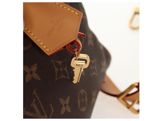 LOUIS VUITTON Borsa a Mano Monogram Speedy P9 Bandoulière 25 M24443 LV Auth 140686SM Monogramma - vista 9