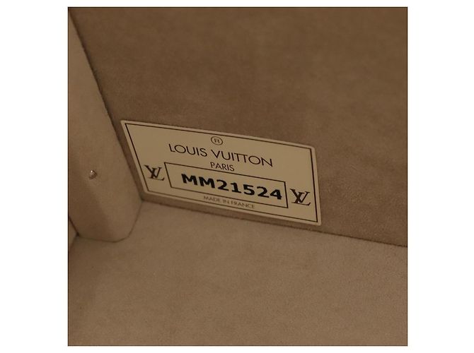 LOUIS VUITTON Taurillon Climbing Coolie Rosin 110Trunk Bianco M10074 Auth 115972SM - vista 11