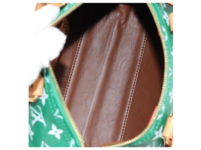 LOUIS VUITTON Borsa a Tracolla Monogram Speedy P9 25 Verde M24423 LV Auth 139047SM Monogramma - vista 11