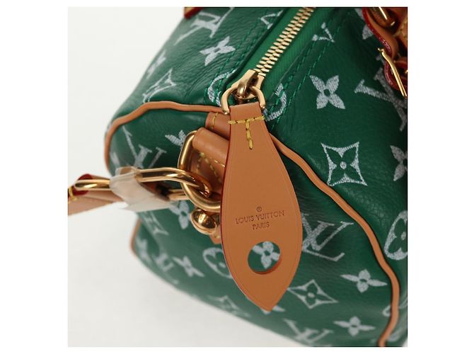 LOUIS VUITTON Borsa a Tracolla Monogram Speedy P9 25 Verde M24423 LV Auth 139047SM Monogramma - vista 28