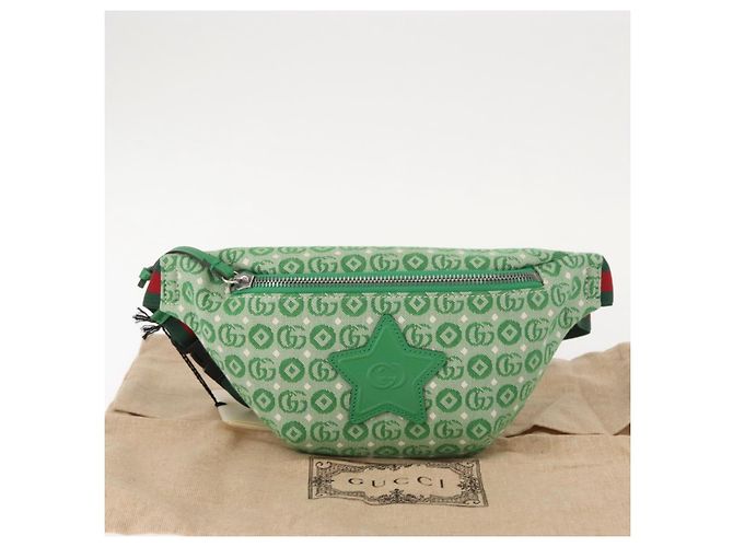 Borsa GUCCI a tracolla in tela e pelle verde argento 502095 Auth BA7469 - vista 22