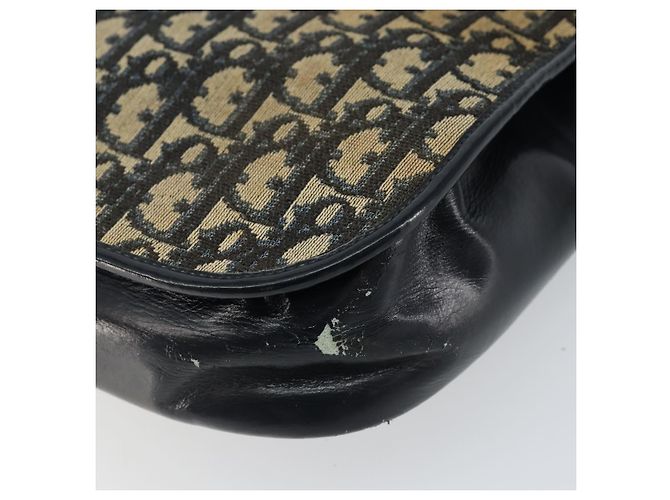 Borsa a Spalla in Tela Trotter Christian Dior Blu Auth 150069 Blu navy - vista 15
