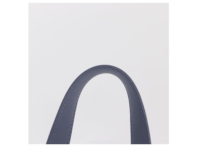 LOEWE Markl Hammock Nugget Loewe x Studio Ghibli 2way Azul Oro Auth BA9010SM Dorado Azul claro - vista 14
