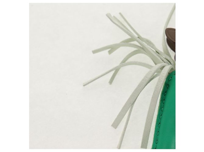 Hermès HERMES Rodeo PM Charm Pelle Verde Marrone Auth BA8097M - vista 6