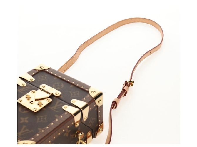 LOUIS VUITTON Borsa a Spalla Monogram Camera box M10079 LV Auth 152697SM Monogramma - vista 15