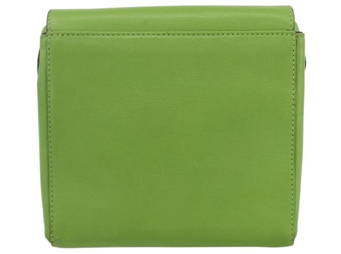 Céline Borsa a Spalla Circle in Pelle Oro Verde Chiaro Auth 156219V D'oro - vista 2
