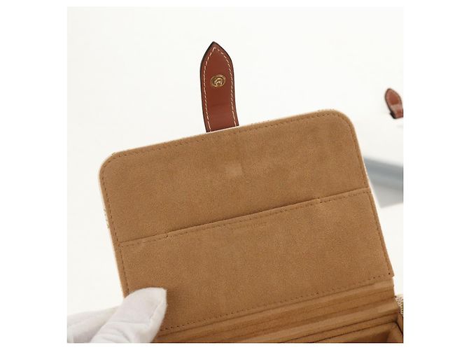 Céline CELINE Triomphe Canvas Große Schmuckbox PVC Weiß 4M0382DIU Auth 154934SM - Ansicht 17