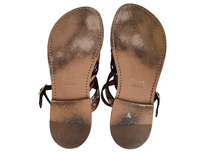 Céline Sandales plates en cuir python Celine Marron - vue 12