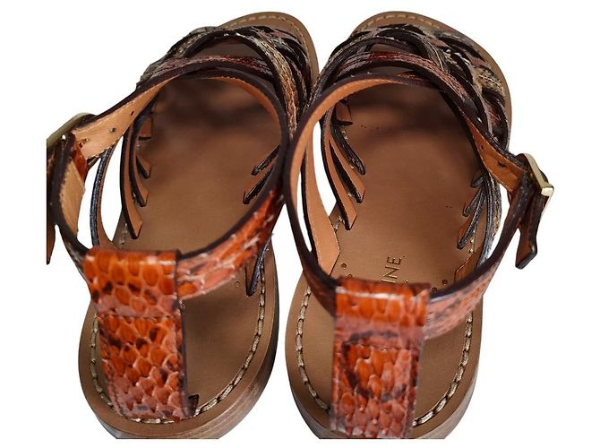 Céline Sandales plates en cuir python Celine Marron - vue 8