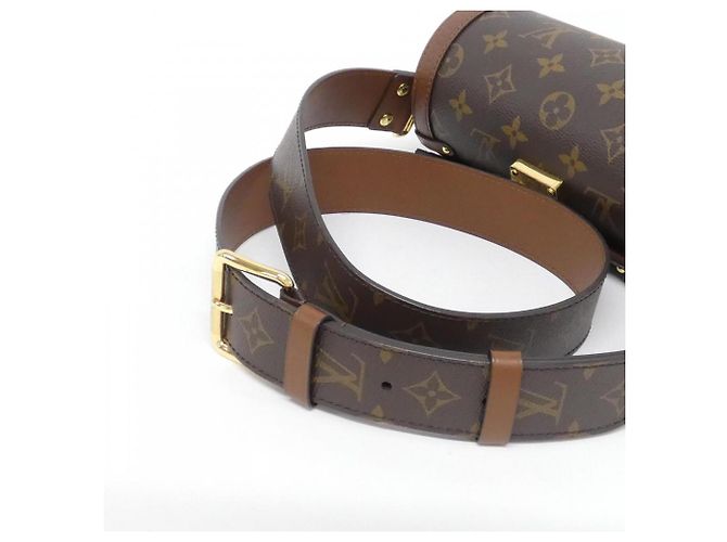 Borsa a Spalla Papillon Trunk Monogramma Louis Vuitton Marrone - vista 5