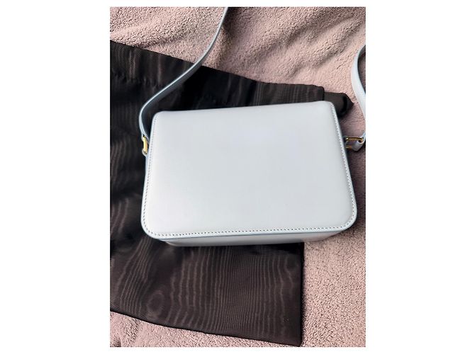 Classic Box Borsa a mano Céline Triomphe Teen Pelle Blu Chiaro - vista 5