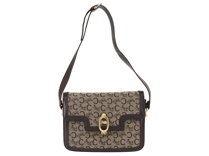 BORSO A SPALLA IN CANVAS BEIGE E ORO CÉLINE C SULKY CARRIAGE Auth 159163 D'oro - vista 13
