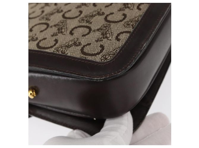 BORSO A SPALLA IN CANVAS BEIGE E ORO CÉLINE C SULKY CARRIAGE Auth 159163 D'oro - vista 15