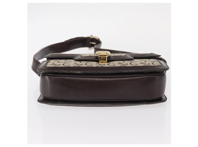 BORSO A SPALLA IN CANVAS BEIGE E ORO CÉLINE C SULKY CARRIAGE Auth 159163 D'oro - vista 5
