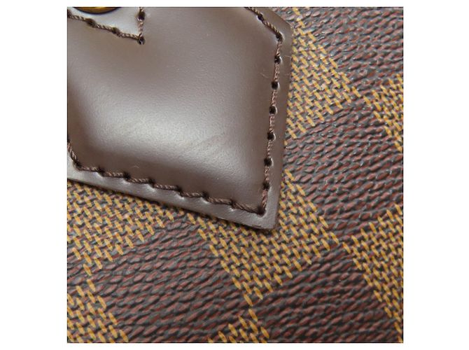 Borsa a mano Saleya PM Louis Vuitton Damier ebene - vista 10
