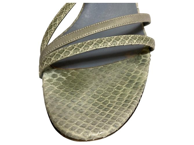 Sandali in Python Salvatore Ferragamo Blu - vista 5