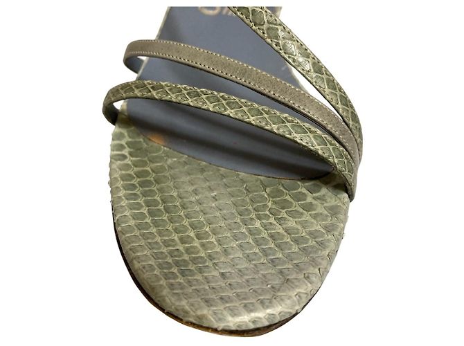 Sandali in Python Salvatore Ferragamo Blu - vista 6