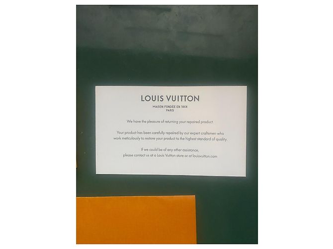 Alma Louis Vuitton Borsa RIFT di Takashi Murakami Multicolore - vista 19