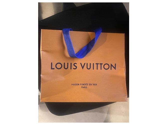 Alma Louis Vuitton Borsa RIFT di Takashi Murakami Multicolore - vista 20