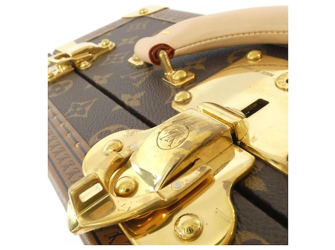 Custodia per orologi Louis Vuitton Monogram Cotteville 16 M11151 Marrone - vista 4