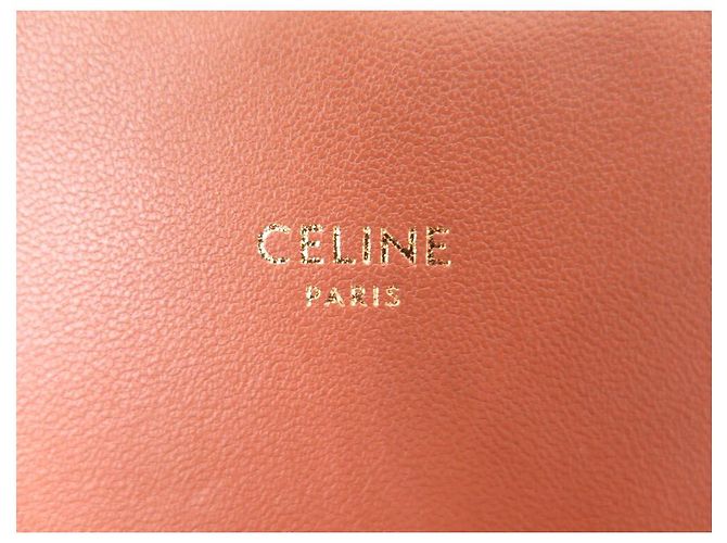 Céline NUOVA BORSA A MANO CELINE TRIOMPHE TEEN 188882 CANVAS E PELLE DI VITELLO Beige - vista 11