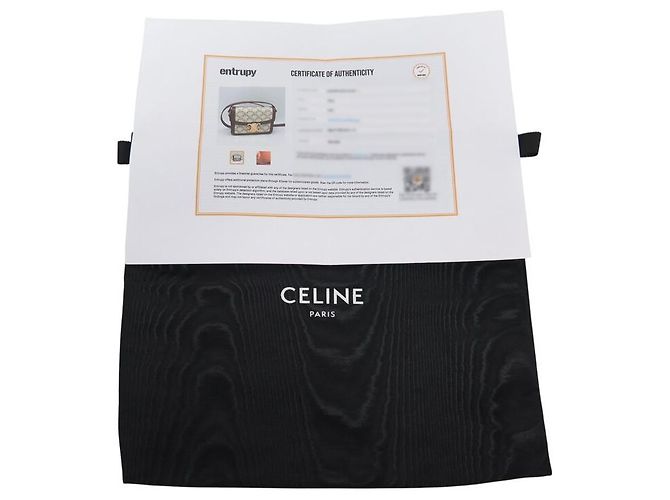 Céline NUOVA BORSA A MANO CELINE TRIOMPHE TEEN 188882 CANVAS E PELLE DI VITELLO Beige - vista 17