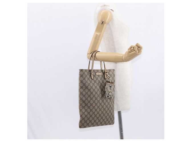 Borsa a mano GG Supreme in PVC beige e argento di GUCCI 117551 Auth gh1449 - vista 24