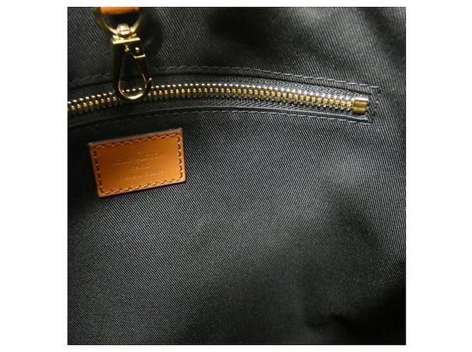 Borsa hobo Dauphine MM M45195 in monogramma Louis Vuitton Marrone - vista 9