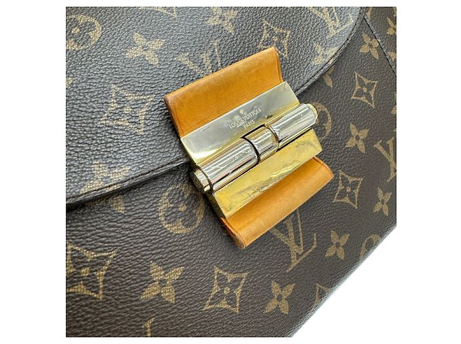 Borsa Olympe Louis Vuitton in pelle bordeaux e marrone Bordò - vista 10