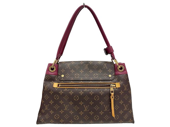 Borsa Olympe Louis Vuitton in pelle bordeaux e marrone Bordò - vista 2