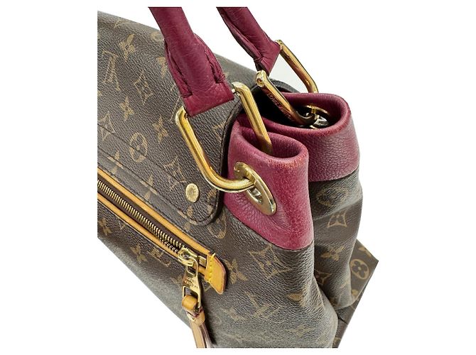 Borsa Olympe Louis Vuitton in pelle bordeaux e marrone Bordò - vista 8