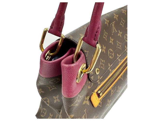 Borsa Olympe Louis Vuitton in pelle bordeaux e marrone Bordò - vista 9