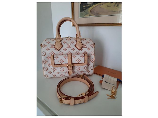 Louis Vuitton Speedy 25 borsa a spalla edizione limitata Fall For You Beige - vista 6