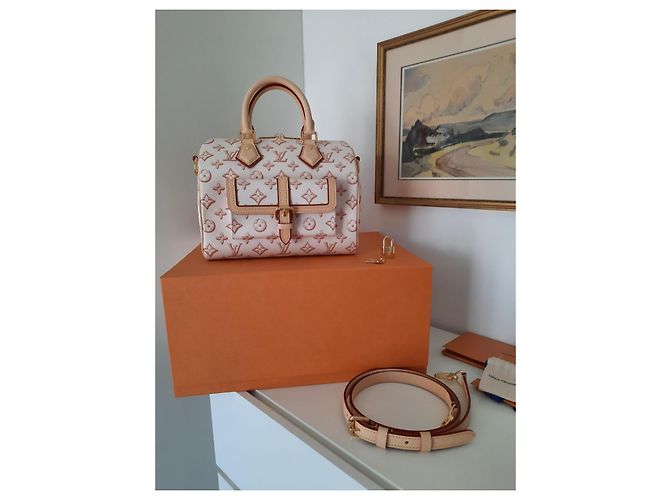Louis Vuitton Speedy 25 borsa a spalla edizione limitata Fall For You Beige - vista 7