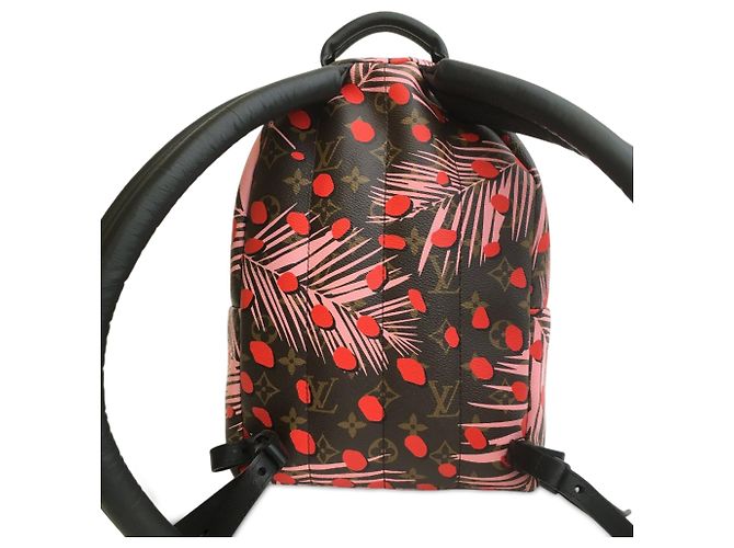 Zaino Palm Springs PM Monogram Jungle Dots di Louis Vuitton Marrone - vista 4