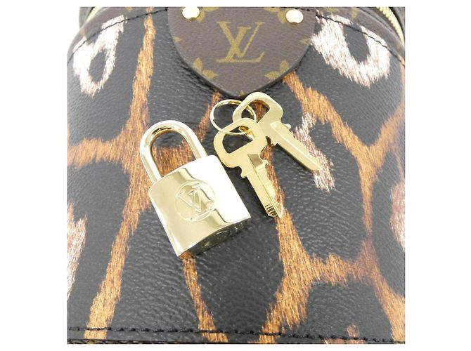 Sac à main Cannes Monogram Louis Vuitton Marron Doré - vue 4
