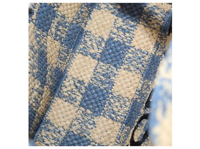 Borsa LOEWE Raffia 2way Azzurro Chiaro Argento Auth 158951SAV Blu chiaro - vista 10