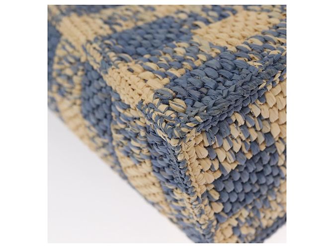Borsa LOEWE Raffia 2way Azzurro Chiaro Argento Auth 158951SAV Blu chiaro - vista 17